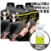 편한염색 펴난 새치 흰머리 간편 손쉬운 염색 (5매입 구입시 증정/ Pretty KF94 마스크 1매), 검정, 3매