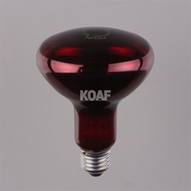 필립스 적외선 IR 램프 100W R95 E27, 1개
