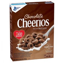 Cheerios 치리오스 아침식사대용 초코맛 시리얼 318G