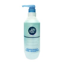 [공식몰]알앤비 피톤테라피 페퍼민트 쿨 멘솔 샴푸 1000ml, 1