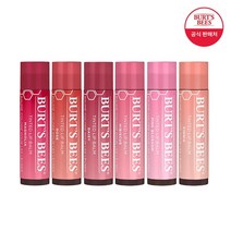 버츠비 +립밤 필로우케이스증정 틴티드립밤 립밤 1+1 6종 택2, 02_히비스커스/05_데이지