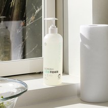 에코후레쉬 친환경 주방세제 500ml 거품형 천연 1종 순한 안심성분 과일 야채도 안심세척, 에코후레쉬 친환경 주방세제 2개