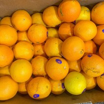 직수입 고당도 네이블 오렌지 88과 중과 20개 40개 17kg, 네이블 오렌지 18kg 이내