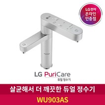 LG 퓨리케어 듀얼 정수기 WU903AS 냉온수 방문관리 6개월 주기, 6개월 주기 방문관리