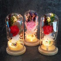 잇츠마이플라워 어버이날 프리저브드 카네이션 무드등 부모님 스승의날 선생님 선물, 레드