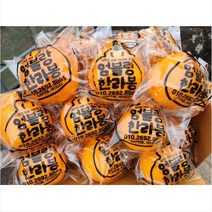 [지삿개농장]고당도 제주 한라봉 지금은 엄블랑한라봉을 먹는 계절이다 3KG 5KG 10KG 실속세트, 5KG(중과18~20과), 1개