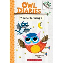 Baxter is Missing: A Branches 북 Owl Diaries 6 페이퍼백