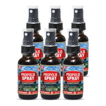 통라이프-플라보노이드637mg- 프로폴리스 스프레이30ml-6병, 1개, 단품