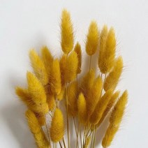100 개/35cm 천연 토끼 꼬리 말린 꽃 리얼 터치 미니 팜파스 뭉치 웨딩 홈 장식 배열 촬영 소품, [21] retro yellow