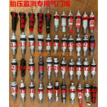 - 자동차 타이어 에어밸브 캡 휠 공기 주입구 마개 북자동차 eu400 EU5 R500 공기압 센서 모니터링 전용 밸브 적용 비임