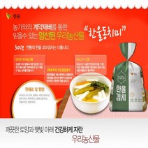 HACCP인증 맛있는 동치미 1kg, 할인_상품선택_특가