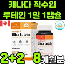 캐나다 뉴테인 루테린 LUTEIN 마리골드 메리골드 꽃 추출물 비타민 A E 베타카로틴 아연 직장인 청소년 50대 60대 부모님 눈 안구 건강 노안 노화 흐림 침침 영양제 추천, 4박스(8개월분)