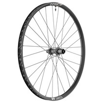 디티스위스 리어 휠 DT Swiss M 1900 SPLINE 29인치 8966, Shimano HG