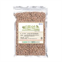 바른약초 브라운렌즈콩 잡곡 렌틸콩, 5개