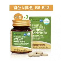 애플트리김약사네 그린 엽산 레몬에서 추출한 임산부 영양제 임신준비 임신중 수유부 부부 성장기 청소년 엽산보충제 비타민B6 비타민B12 천연엽산 합성첨가물 No