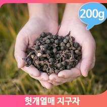 건조 헛개나무 열매 200g 지구자 말린 약재 영양 한방