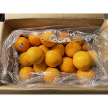 썬키스트 오렌지 네이블 3kg내외 14개입 중과 개당200g내외 오렌지가격, 단품