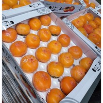 반시 태추단감 단감 청도반시 5kg 10kg 특1등급 가락시장 내일새벽도착, 단감 5kg 35-42과