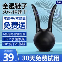 신발 운동화 살균 건조기 부츠 건조 안전화 글러브 장화 휴대용 소독기, [블랙+열풍속건+오존]