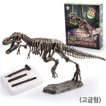 공룡화석 발굴키트(대), _13589_티라노사우루스