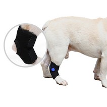 DOG 강아지 산책 개 다리 슬개골 깁스 보호대 1P 1개, 2애견슬개골보호대-M