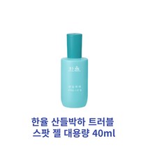 [정품] 한율 산들박하 트러블 스팟 젤 대용량 40ml 1개 단품, 40m 1개 단품