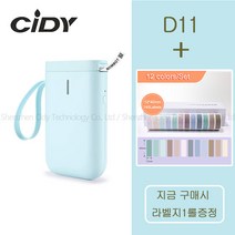 휴대용 무선 라벨프린터 D11 네임스티커 라벨기, 민트, 모란디12색세트2+사은품12*30mm-210매 1롤