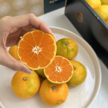 제주 귤 고당도 가정용 추석 명절 과일 선물세트, 하우스감귤, 소중과(가정용), 2kg