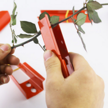 화훼장식기능사 실기 준비물 가시 제거기 장미 꽃 컨디셔닝 꽃꽂이 식물 줄기 정리기