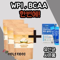 리얼 네달란드 산양유 단백질 프로틴 컴플렉스 복합 뼈 척추 관절 락토 락도 페린 패린 밀크 세라마이드 미셀라 카제인 칼슘 WPI BCAA 남성 여성 성인 할아버지 할머니 부모님, 140gx9봉