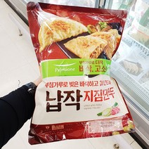 풀무원 납작 지짐만두 490gx2입, 종이박스 아이스팩