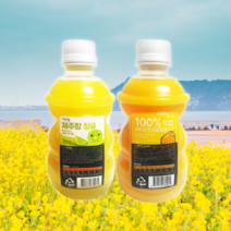 제주랑 100% 리얼 한라봉감귤주스 청귤주스, 320ml, 5병