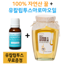 100프로 자연산꿀 토종꿀 2.4 kg 1.2 kg 비염 천연 식용 유칼립투스 오일 식용 100% 허브오일 무료증정 식용 유칼립투스오일 꿀, 자연산 꿀 1.2kg+유칼립투스아로마(무료)