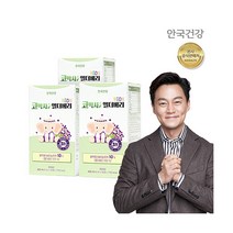 [안국건강] 코박사 엘더베리 30포 3박스 (3개월), 상세 설명 참조, 상세 설명 참조