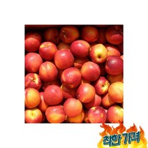 천도 4.5kg내외(35과내외), 천도 복숭아 4.5kg내외(35과내외)