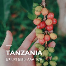 [생두] 탄자니아 음베야 AAA TOP 1kg