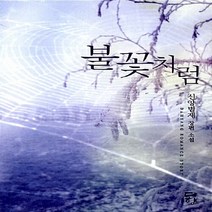 NSB9788966398058 새책-스테이책터 [불꽃처럼] ---다향-신양범재 지음-한국 로맨스소설-20120817 출간-판형 128x188(B6)-43, 불꽃처럼