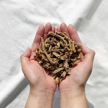 경주상회 목에좋은 국산 도두어린 작두콩차 생분해필터 친환경패키지 티백 _ 1봉, 30g