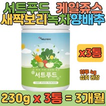 서트푸드 케일 캐일 주스 분말 간편 식사 영양 쉐이크 새싹보리 브로콜리 7일 섭취 식단 대용량 20대 30대 40대 여자 여성 남자 남성 마시는 식품 추천