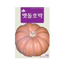 (CN) 맷돌호박 씨앗 (10립)