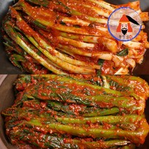 [황장군] 당일제조 여수 전라도 파김치 돌산 갓김치 1kg 2kg 3kg 갓파세트, 갓김치2kg +파김치 1kg 세트