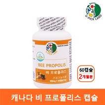 캐나다 비 프로폴리스 캡슐 수용성프로폴리스 고함량 플라보노이드 17mg 추출물 분말 마그네슘 프로폴리스알약 프로폴리스영양제 BEE PROPOLIS 항산화 환절기 구강건강 직수입, 2개, 60캡슐