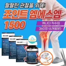 조인트 엠에스엠 1500 플러스 캐나다 무릎 관절 영양제 MSM 연골 팔팔 식약처 인증 약2개월분 mbp 여성 케어 뼈 건강 엔 캡슐 큐 골드 손가락 식약청 50대 70대 프리미엄, 3개