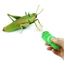 남자아이 메뚜기 RC 장난감 아동생일선물 6세남아선물 동물작동완구 무선rc, 랜덤발송