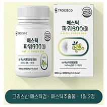 매스틱 분말 정/그리스 키오스 메스틱 검 MASTIC/60정