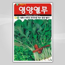 슬로시 슬로시 김장 채소 씨앗 무 배추 당근 씨 종자, 영양열무20g(아람)
