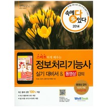스마트하게 배우는 정보처리기능사 실기 대비서 동영상강의(2014), 웰북
