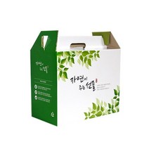 자체제작 한약박스 자연이주는선물( 특대 ) 50장 포장 병원박스 한의원, 킹덤 본상품선택