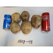 포근한 햇감자 3kg 5kg 10kg, 10kg왕특(150g이상)