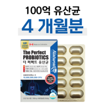 프로바이오틱스 100억 살아있는 유산균 증식 하루 1캡슐 유산균 먹이 프리바이오틱스 포스트바이오틱스 프로바이오 청소년 학생 유산균 락토바실러스 람노스 람서스 분해 효소, 4개월, 510mg x 60캡슐 (하루 1캡슐)